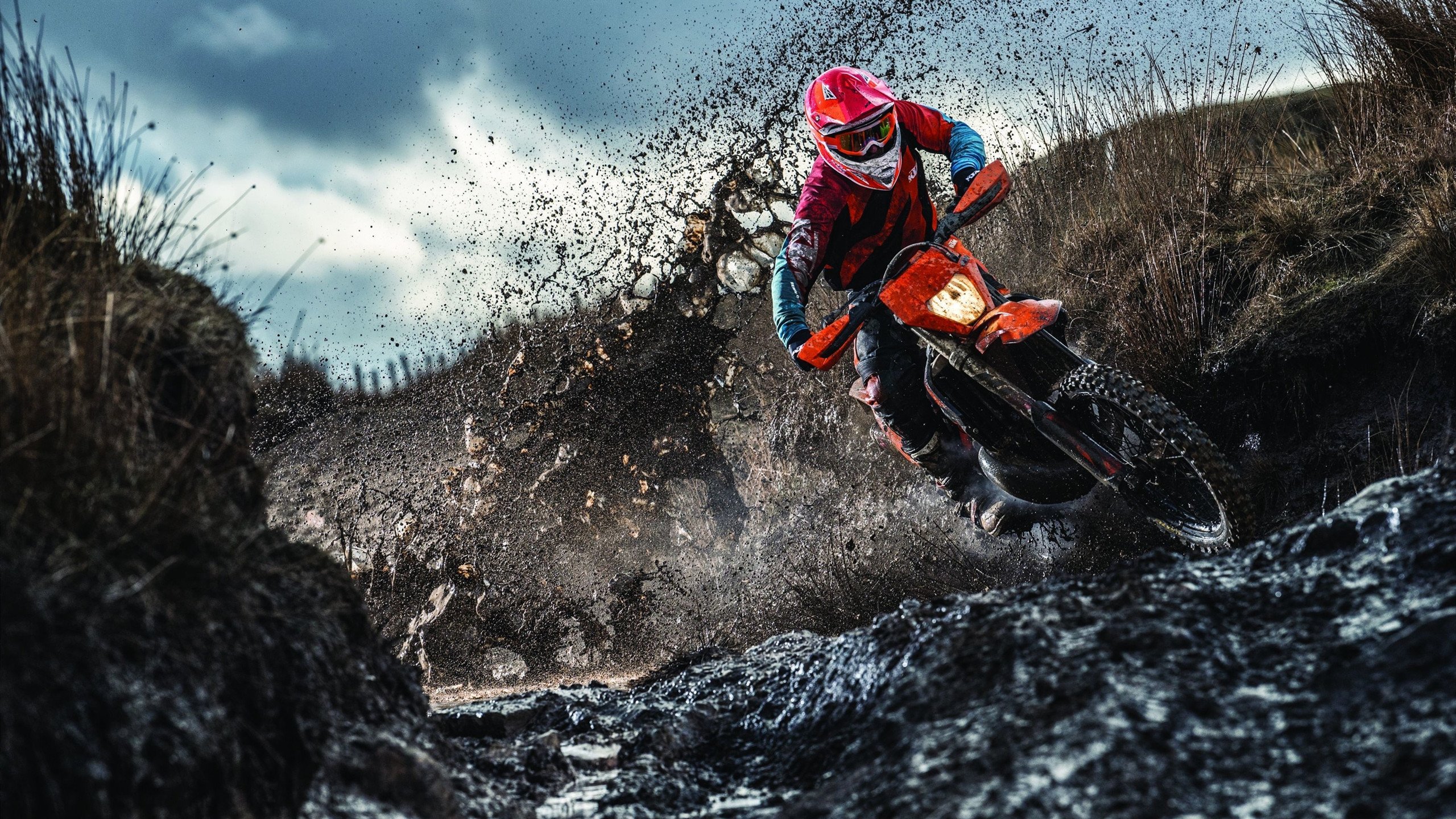 EDG发布职业选手心理健康支持指南，lol职业选手心态